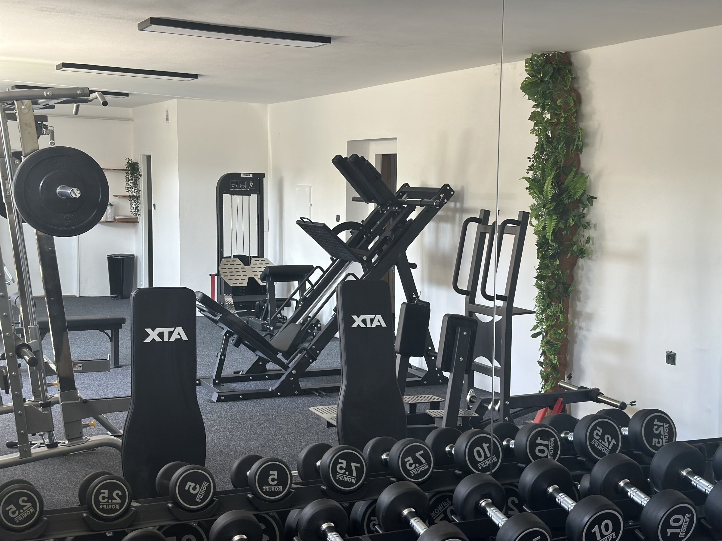 Interiér Ladies Fitness